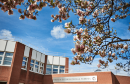 Mental Health Acceptance Week at Vienna International School